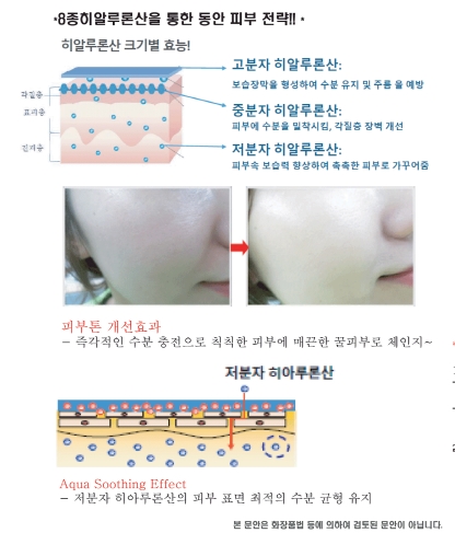 리포브 화장품 AB 솔루션 세럼 부스터 2종선물 CROWN BUBBLE TOK(크라운 버블 톡) 미백 주름 기능성 에센스 : 다이어트위너