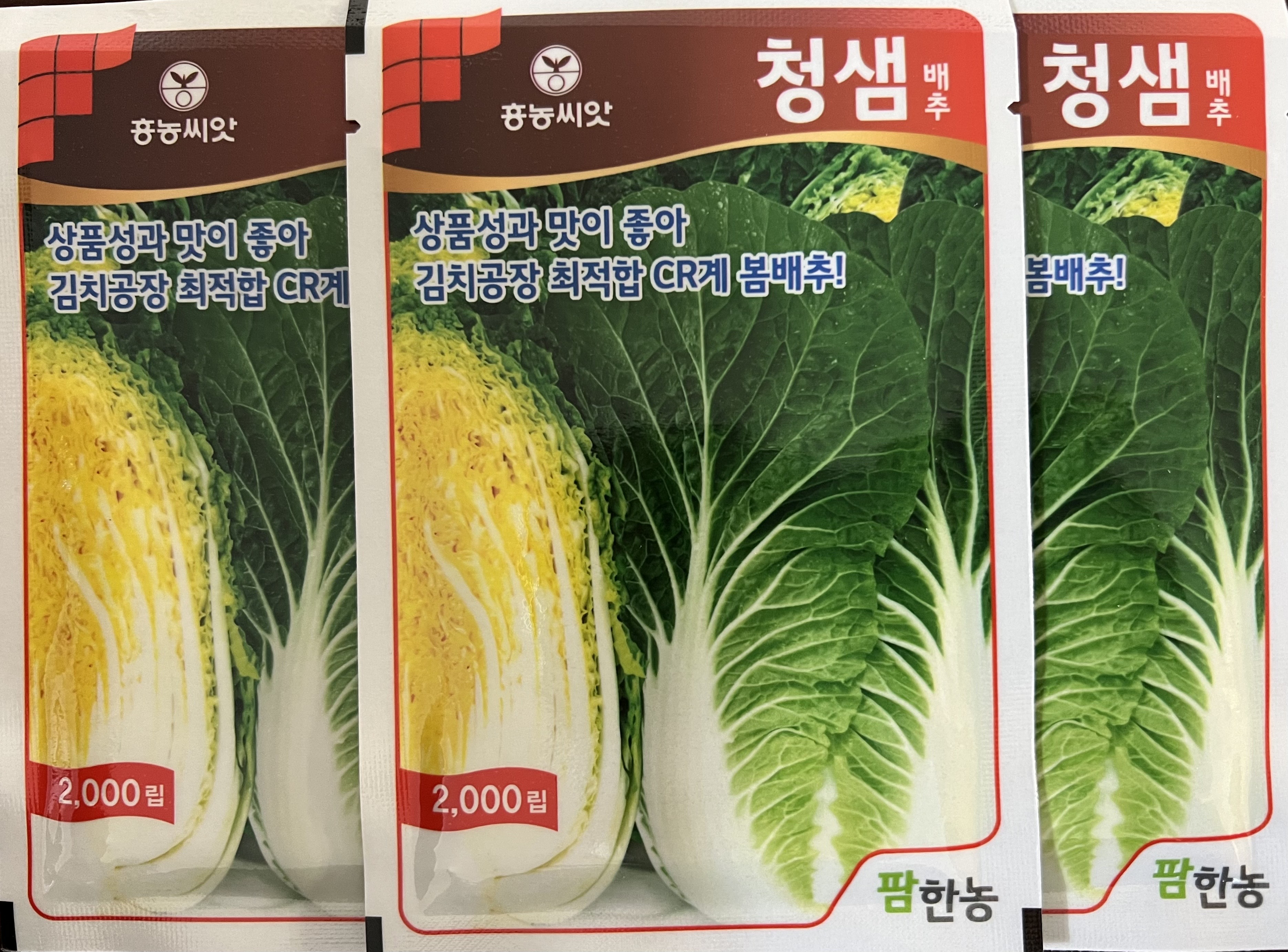 청샘배추(2,000립) / 상품성과 맛이 좋아 김치공장 최적합 CR계 봄배추! : 흥농종묘사흥농아그로흥농TV