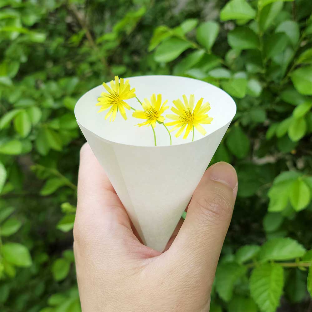 원뿔컵 이지 깔대기 꼬깔모양 정수기컵 120ml, 2000개입, 1개 : 수양상사