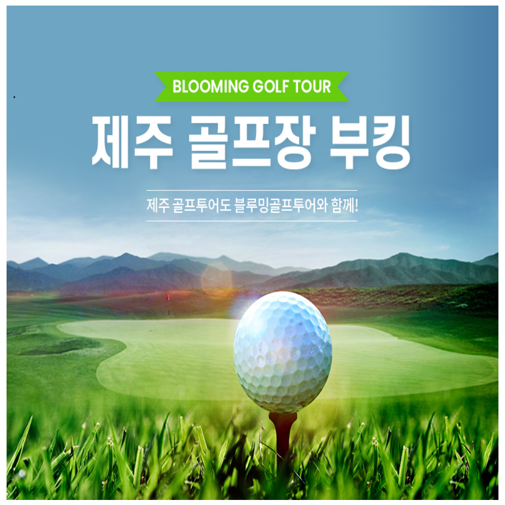 에코랜드cc 제주2인노캐디 제주골프여행 : 블루밍숍