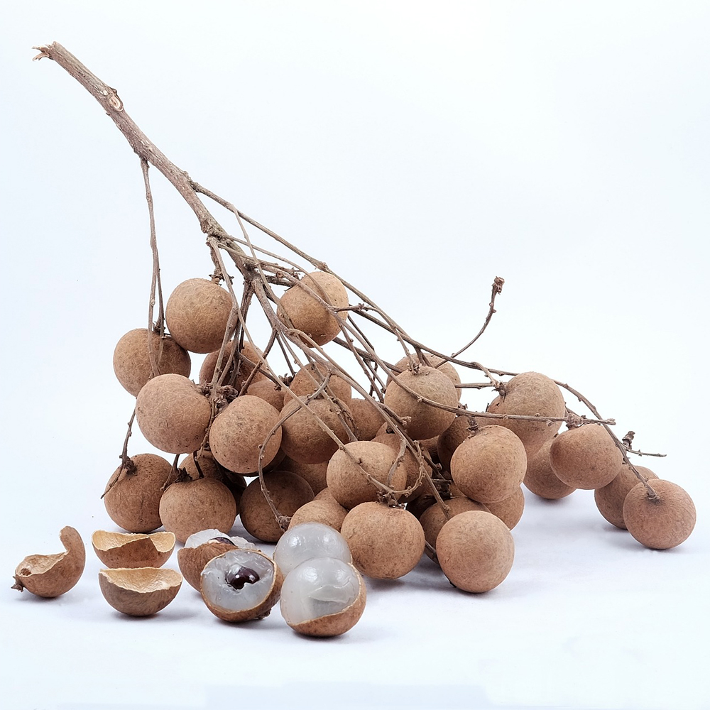 베트남 냉동 용안 (Vietnam Frozen Longan) : Mr.과일왕