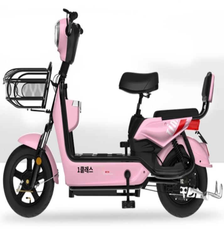 우도 전기자전거 electric bicycle 출퇴근용 전동자전거 스쿠터 바이사이클 : wons-store