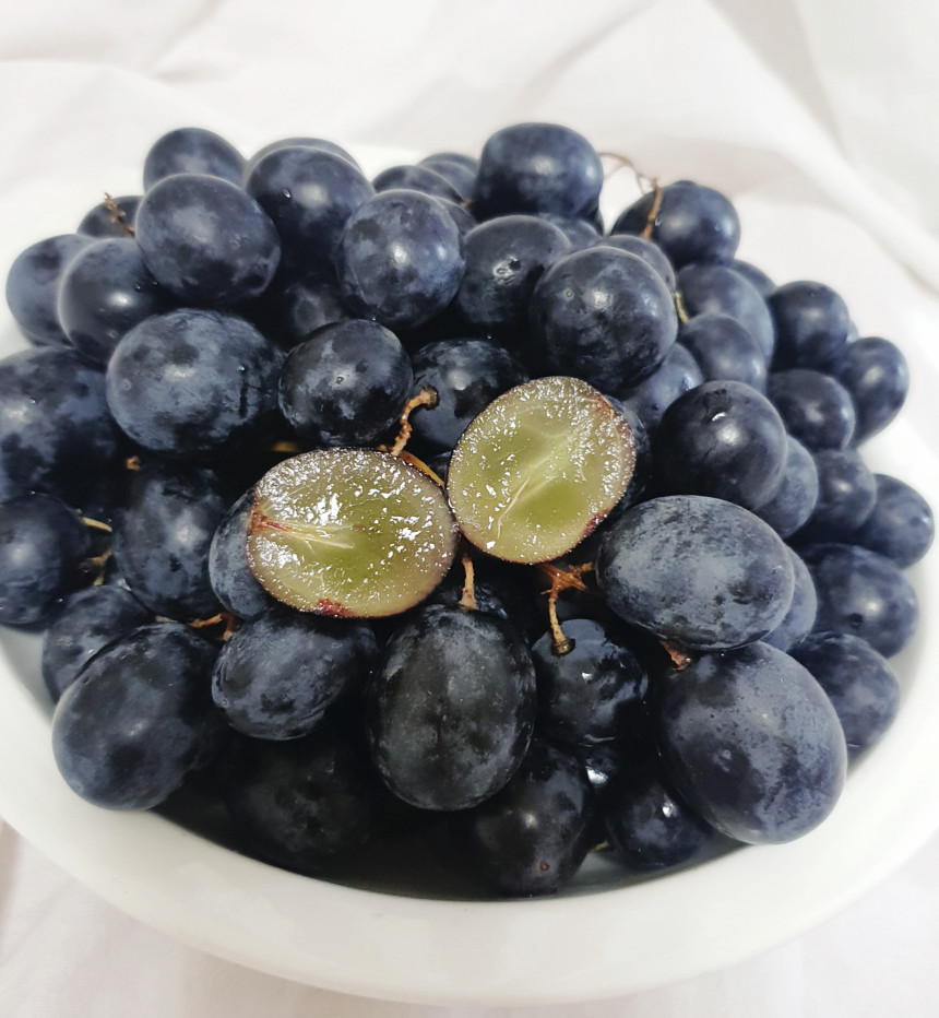 블랙아도라 포도 블랙사파이어 애플청포도 크림슨 캔디하트 코튼캔디 1kg : 튤리프