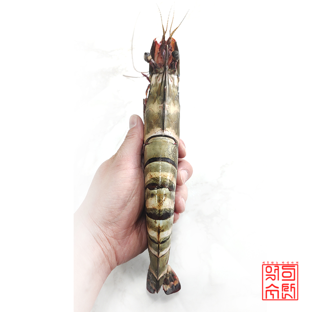 킹 블랙타이거 어마어마한 크기에 한번 놀라고 맛에 두번 놀라요 : 억이수산