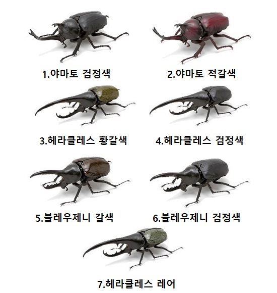 [모두의마켓] PVC 곤충 생물대도감 딱정벌레 피규어 모형 7종 세트 판매 (시크릿포함) : 우리모두의마켓