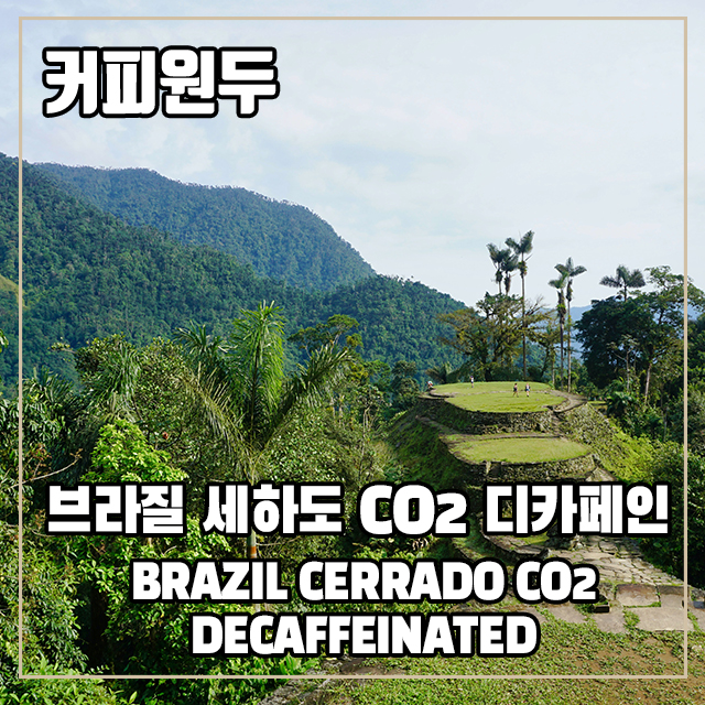 (커피원두) 180 브라질 세하도 CO2 디카페인 100g : 커피를만드는사람들