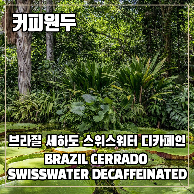 (커피원두) 199 브라질 세하도 스위스워터 디카페인 250g : 커피를만드는사람들