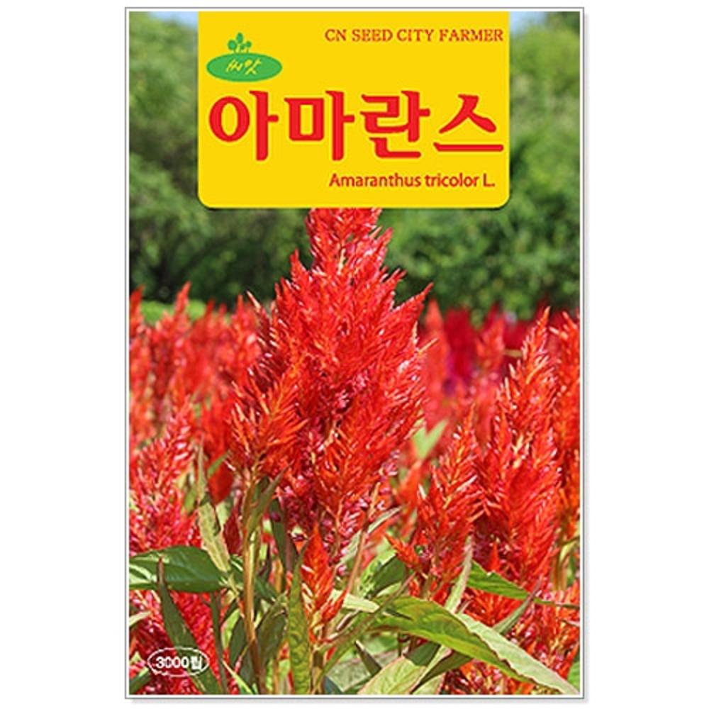 청농 아마란스 꽃씨앗 3000립 : 구삼팔육마켓