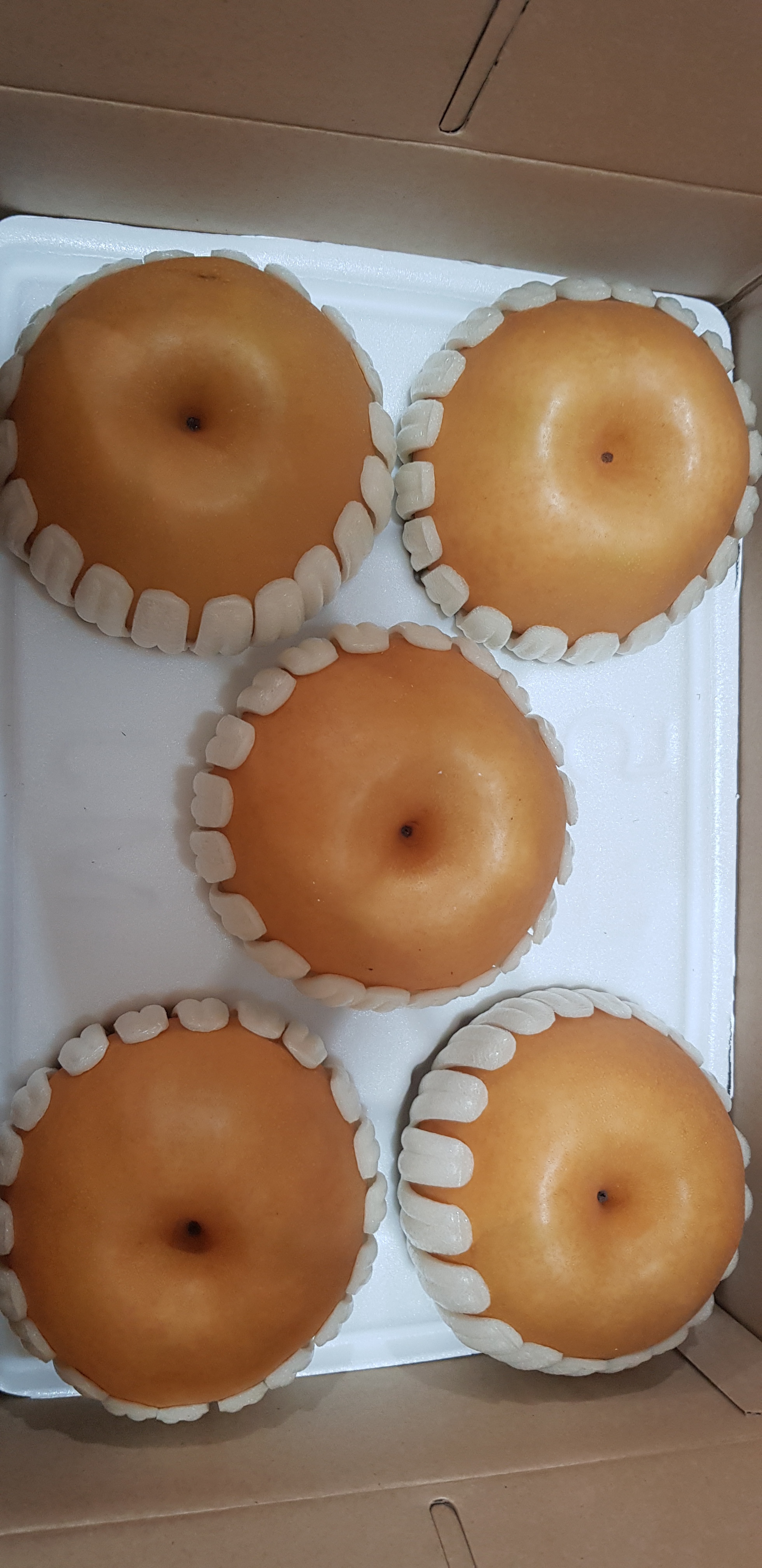 햇배.제수용.선물용 신고배 3kg(4.5.6과) 천안배 성환배 : 천안강남농원
