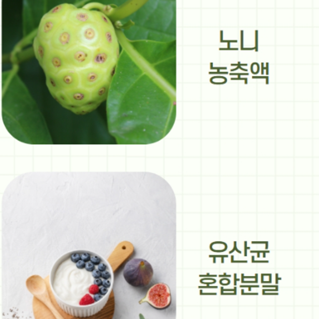 사슴태반 뉴질랜드 녹용 300ml : 미휴타임
