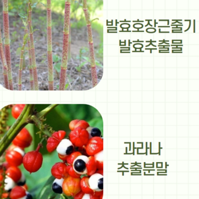 사슴태반 뉴질랜드 녹용 300ml : 미휴타임