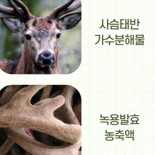 사슴태반 뉴질랜드 녹용 300ml : 미휴타임