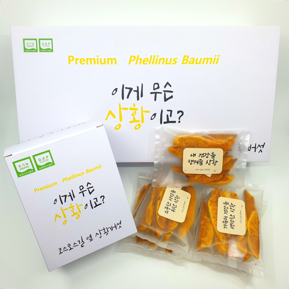 장수 상황버섯 선물세트 국내산 유기농 GAP 슬라이스 150g : 코스모스길 옆 상황버섯