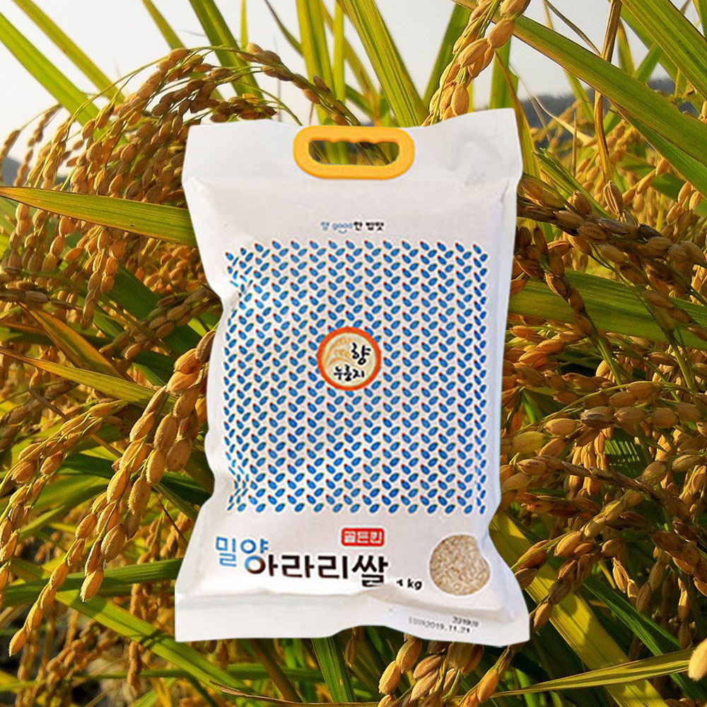 구수한 누룽지향의 밀양 아라리쌀 : 참좋은 제주몰