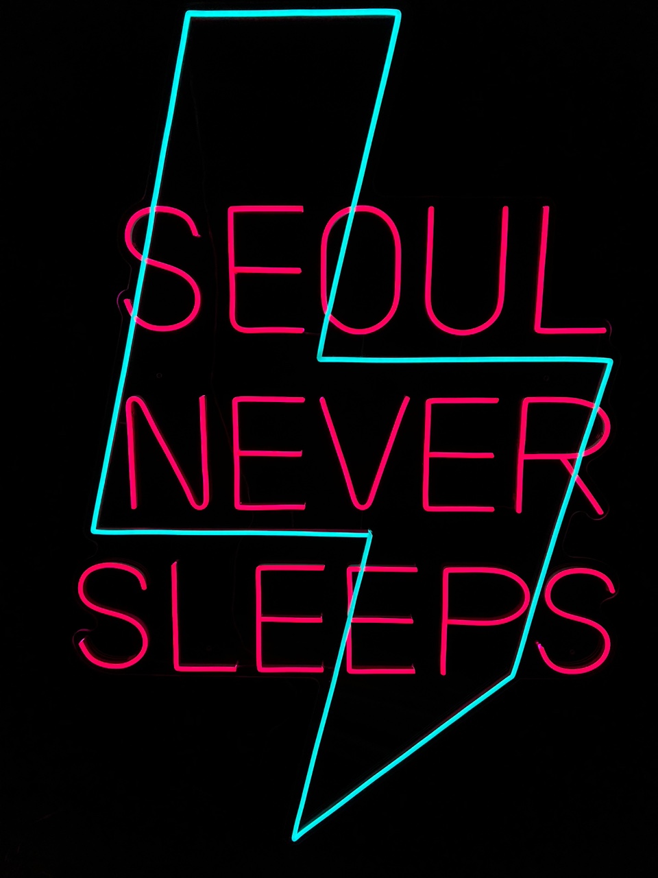 네온 간판 사인 플렉스 : 리얼네온