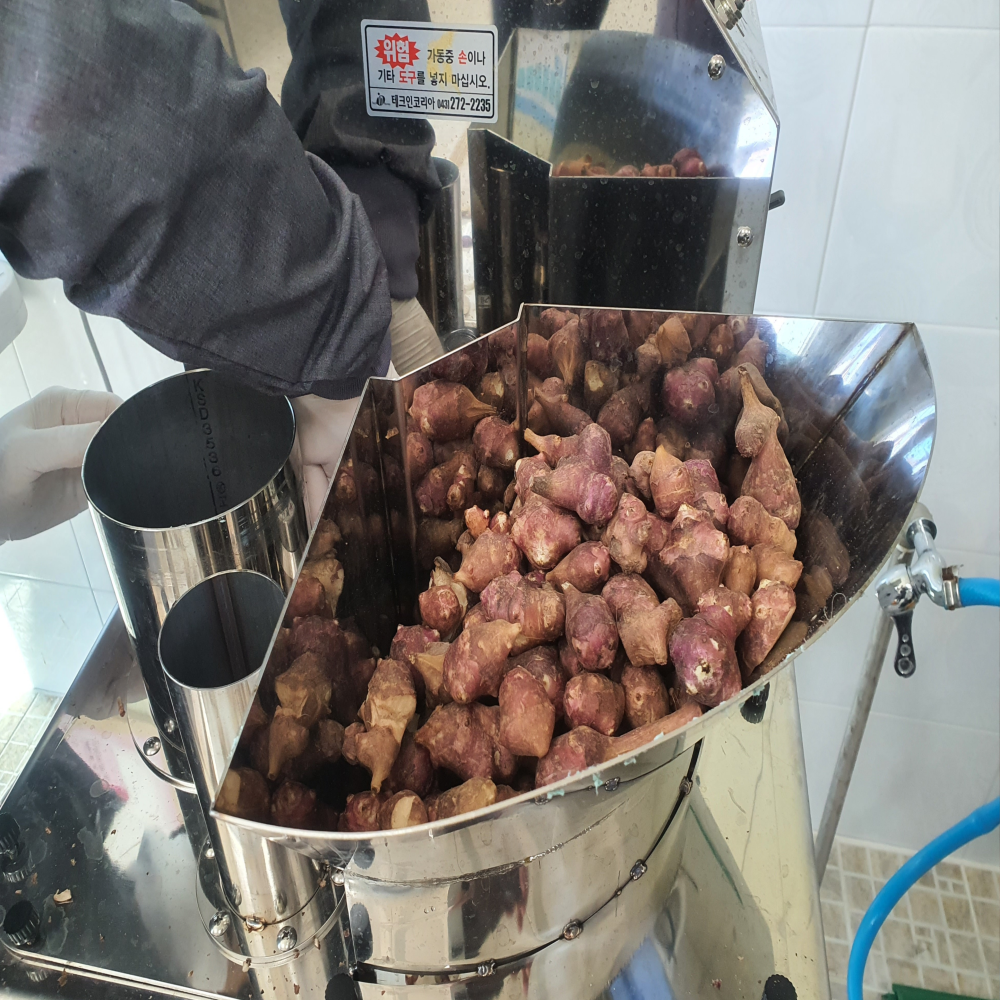 지리산 숲에서 키워낸 자색돼지감차 200g : 지리산춘향농원