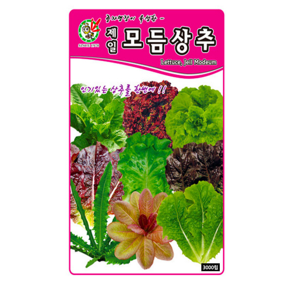 제일모듬상추 씨앗 채소 상추종자(3000립) MK001 : 구삼팔육마켓