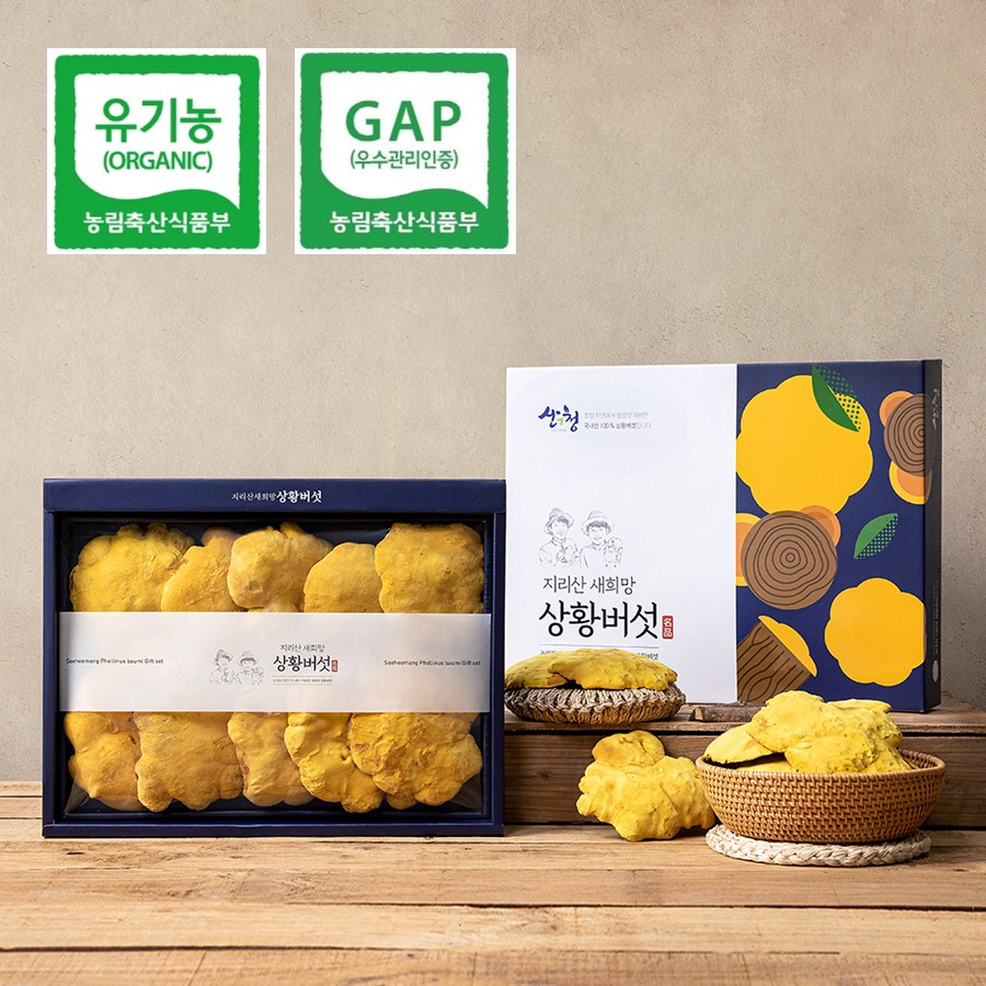 유기농 친환경 지리산 장수상황버섯 250g, 300g 선물세트 국산 EBS극한직업 6시내고향 새희망농원 농장직송 : 지리산 새희망 상황버섯