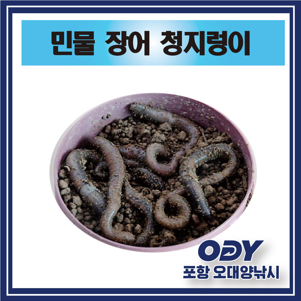 민물 장어 청지렁이+아이스박스+아이스팩 미끼 생물-포항 오대양 : 포항 오대양낚시