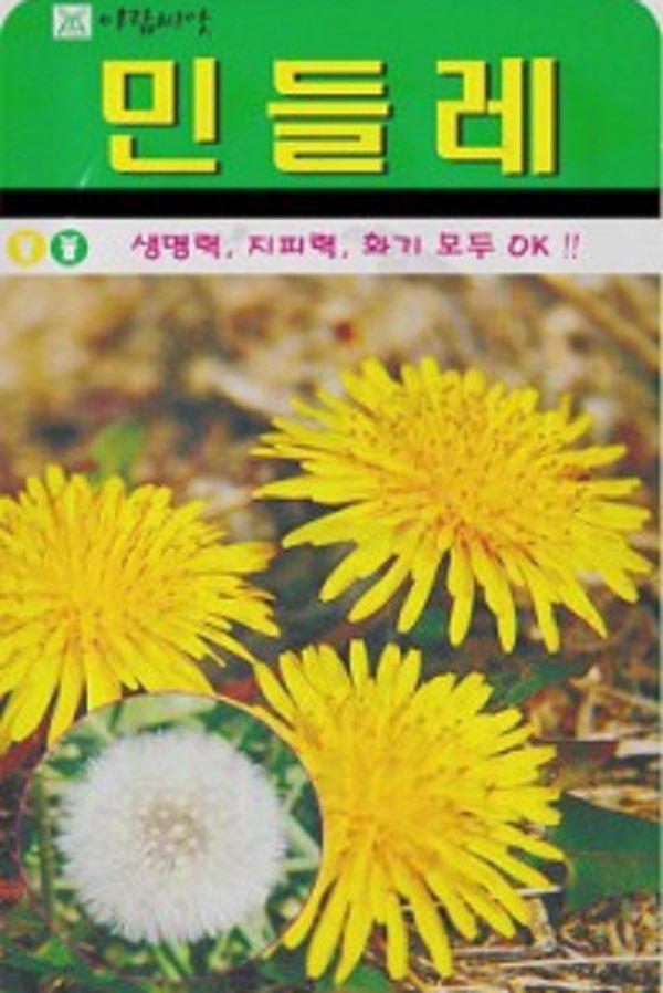 생명력 강한 민들레 씨앗(10000립)(A0738) : 구삼팔육마켓