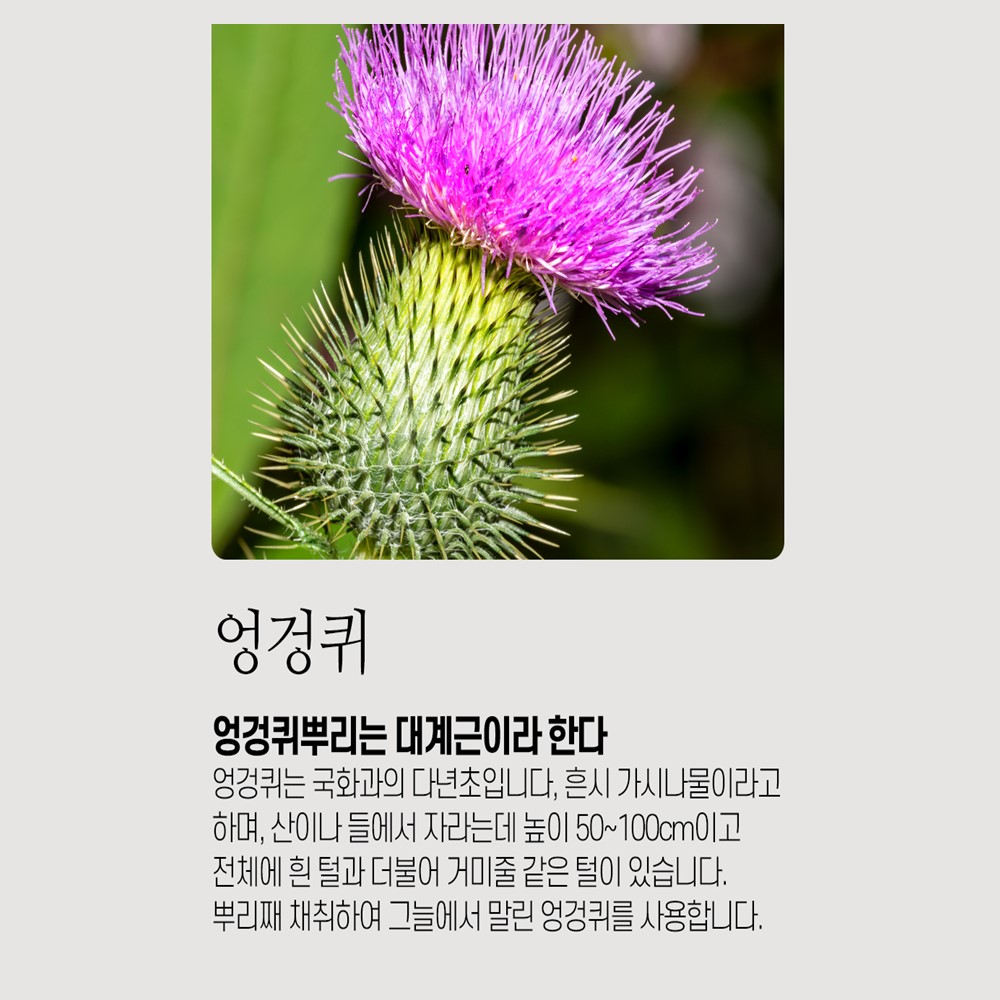 엄마애손 엉겅퀴뿌리 300g : 모레바