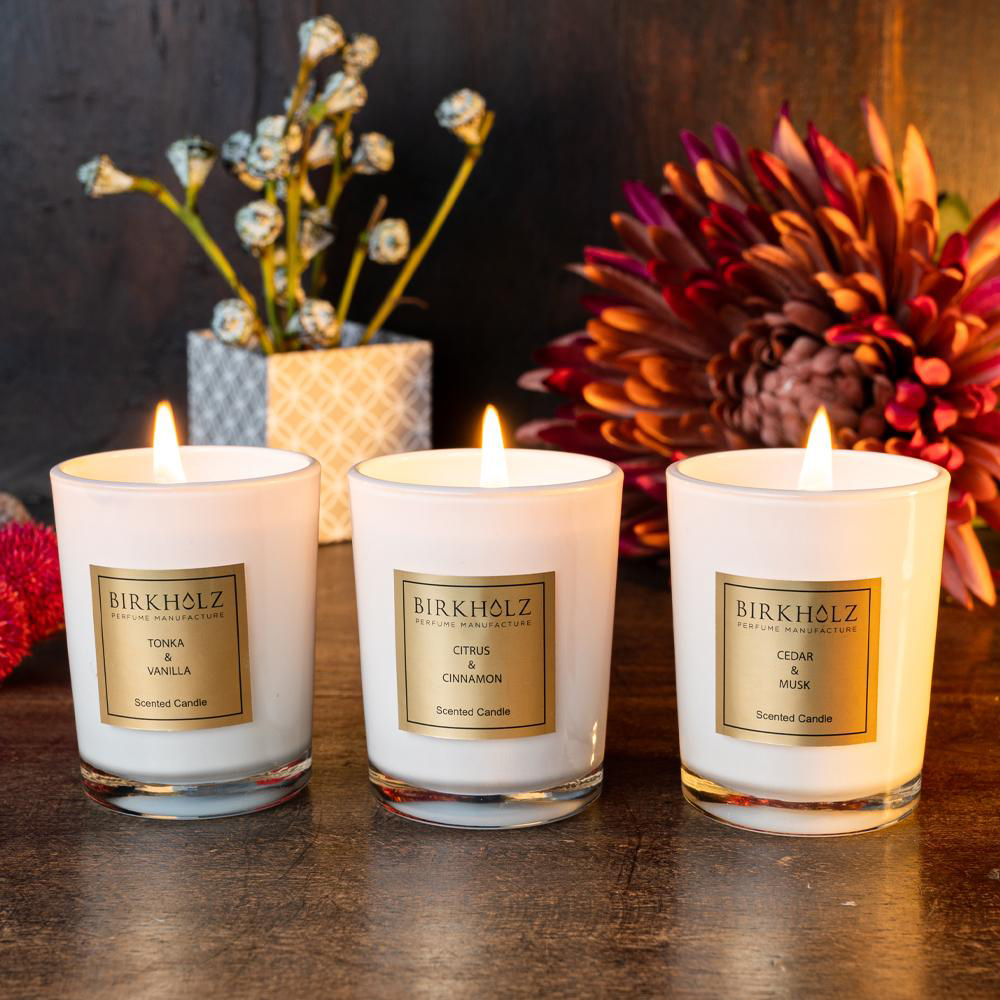 버크홀츠 센티드 캔들 컬렉션 - 코지 타임(Scented Candle Collection - Cosy Time) 선물 세트 : 유럽마을
