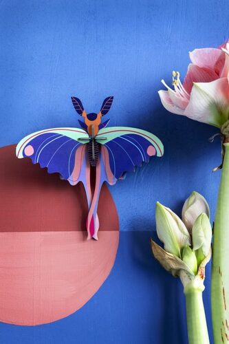 감성인테리어 파란혜성나비 blue comet butterfly : 스튜디오루프 코리아