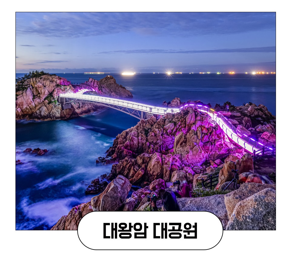 울산버스투어 자유일정 핫플 관광 투어 : 돌고래여행사-돌핀스토어