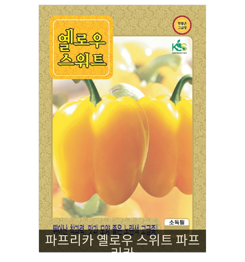 씨앗] 파프리카 옐로우 스위트 파프리카 10립 : 사이버가든