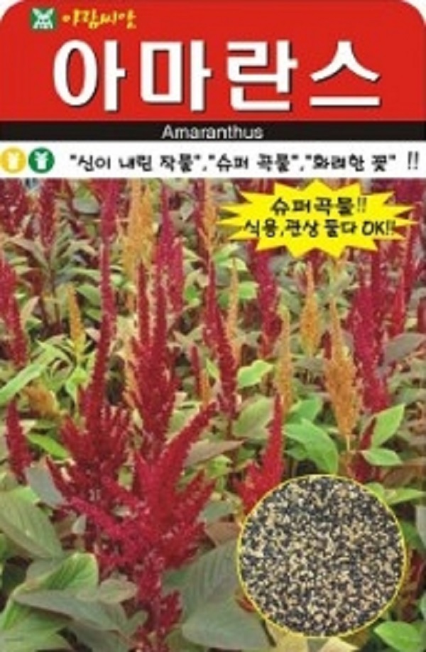 꽃 종자 씨앗 아마란스씨앗(4000립) (A0097) : 구삼팔육마켓