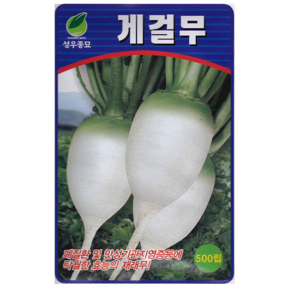 게걸무씨앗 500립 가을 무우 종자 : 스토어 영농사