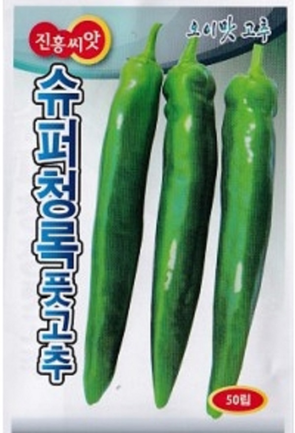 채소 종자 씨앗 슈퍼청록 풋고추 씨앗(50립) (A0185) : 구삼팔육마켓