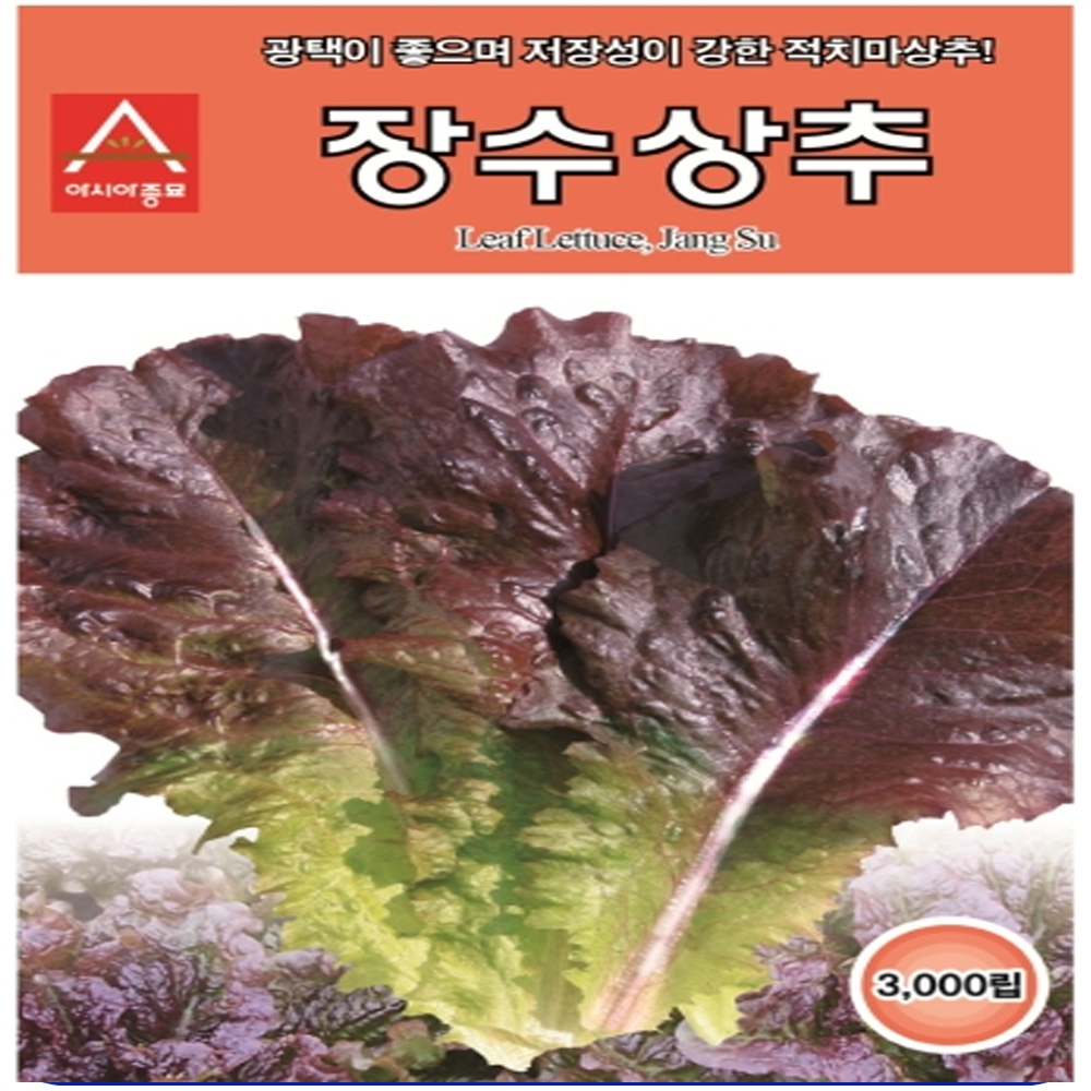 아시아 장수상추 씨앗 3000립 : 수누피팜