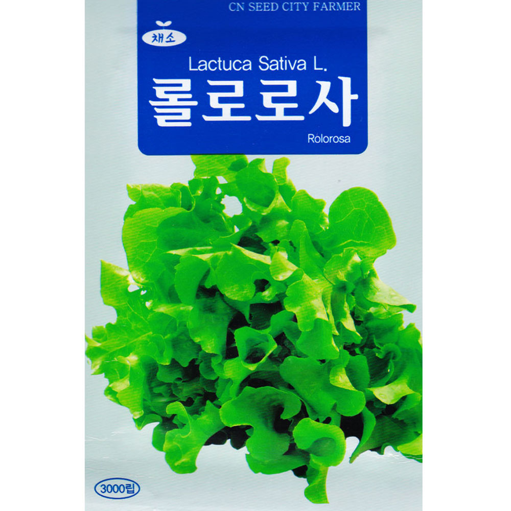 롤로로사 씨앗 3000립 유럽상추 씨 종자 : 스토어 영농사