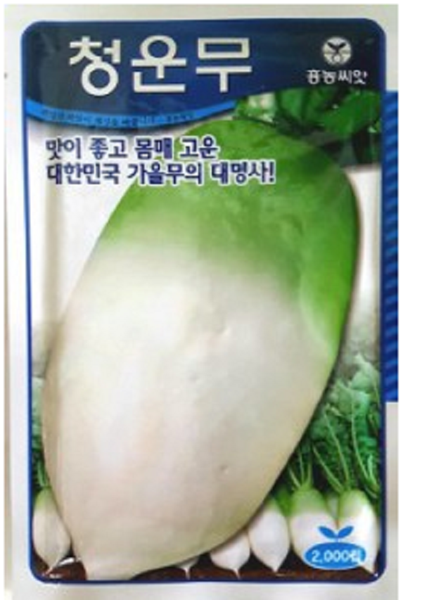 채소 종자 씨앗 청운무씨앗(2000립) (A0273) : 구삼팔육마켓