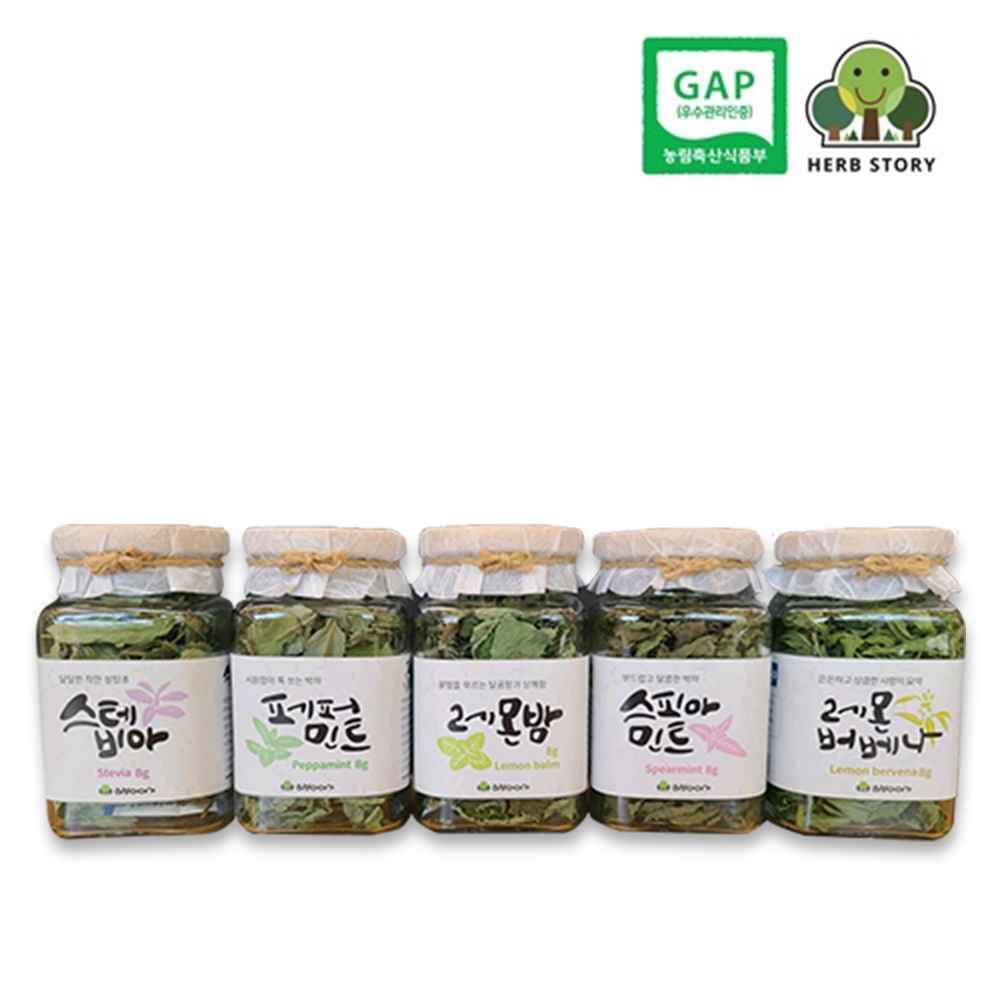 스테비아 허브 병타입 차 원물 8g : 허브이야기