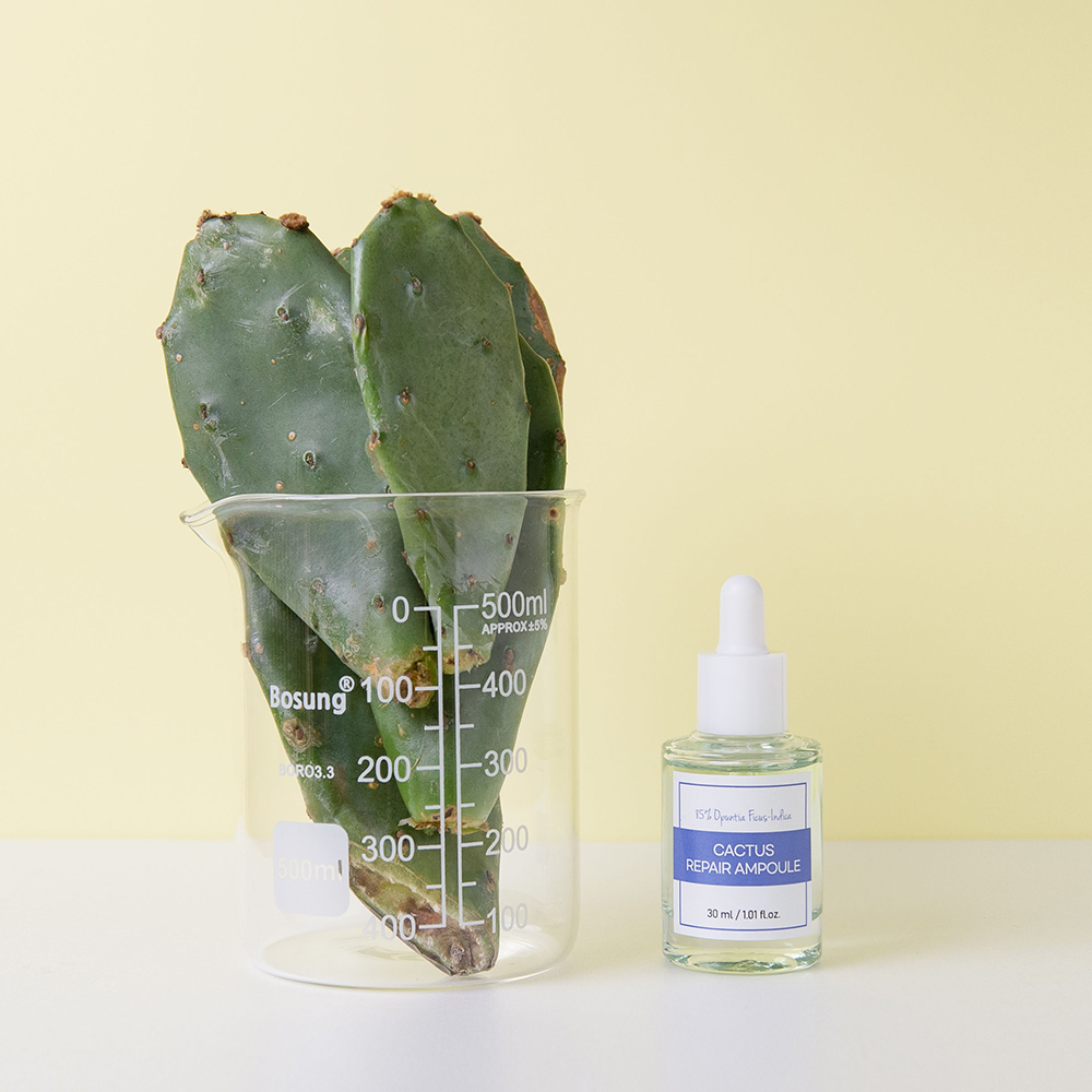 센스세븐 보검선인장 리페어 보습/진정 에센스 앰플 30ml : 로이애