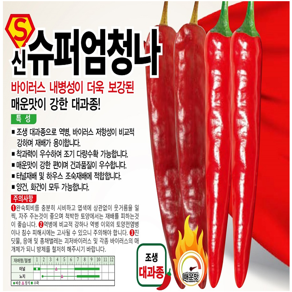 신슈퍼엄청나 고추 씨앗 1200립 : 수누피팜