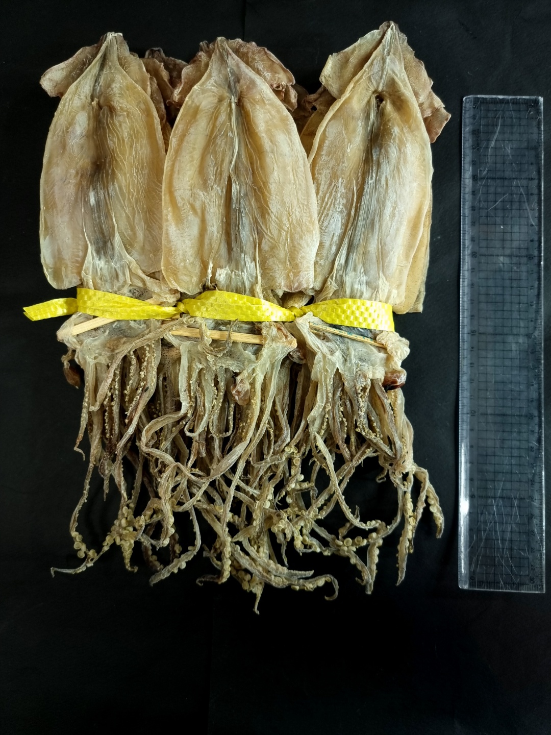 국산 강원도 속초 당일바리 마른오징어 (5마리 / 10마리) 해외진공포장옵션 : 마른총각