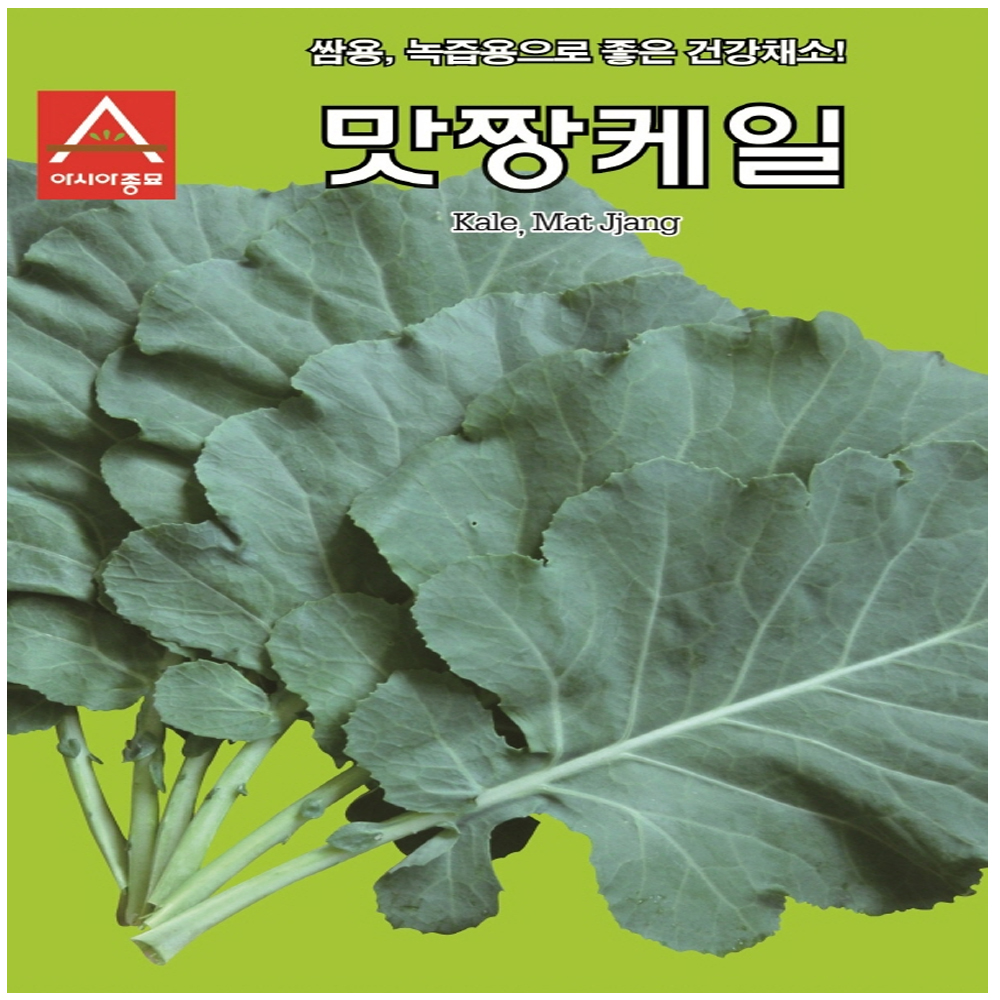 아시아 맛짱케일 씨앗 1000립 : 수누피팜
