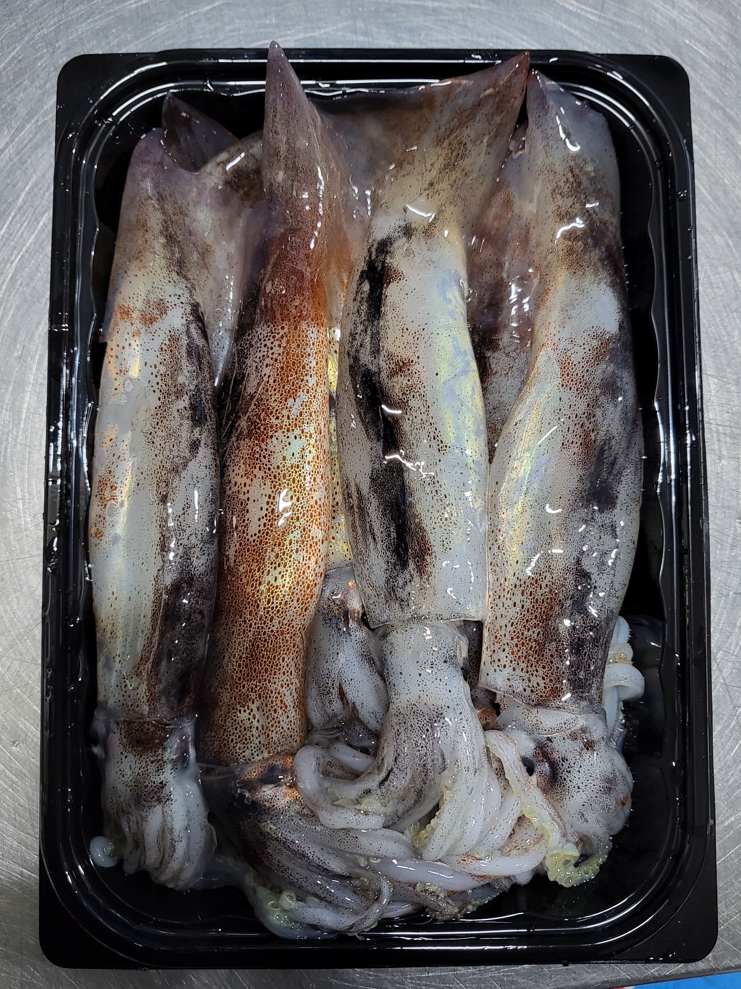 바리바리수산 동해안 활 급냉 총알 통찜오징어 한입오징어 500g 1kg 생물냉동 제철 오징어 : 바리바리수산