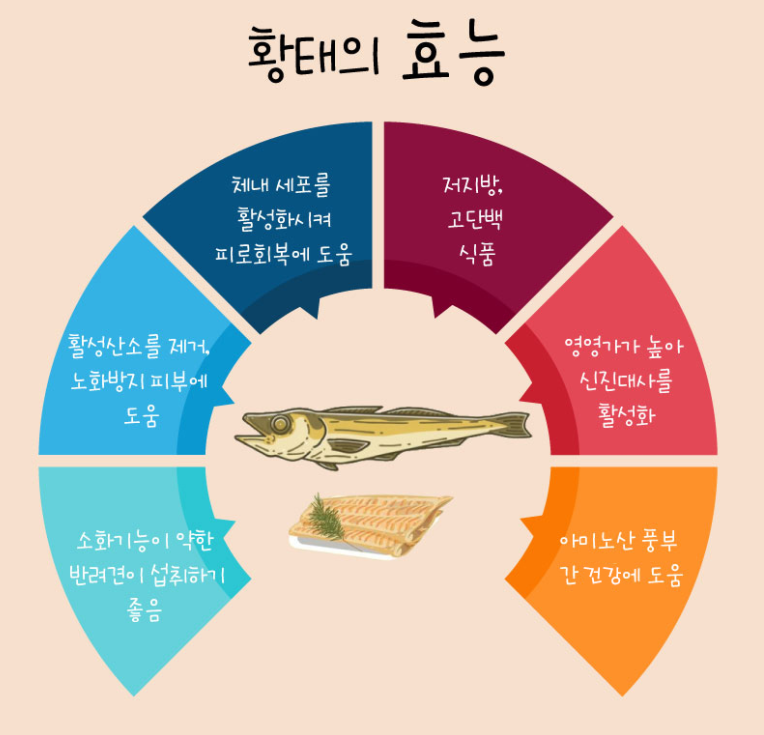청정 대관령 덕장에서 해풍으로 자연건조한 사랑하는 반려동물 간식 애견용 황태채 50g : 위캔두몰