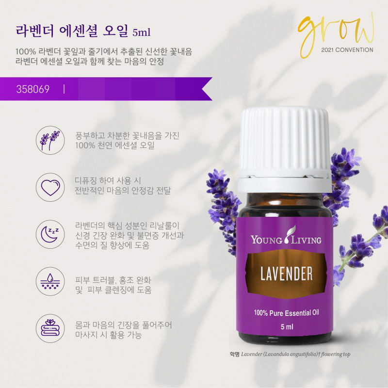 라벤더오일 15m : 향기톡톡몰