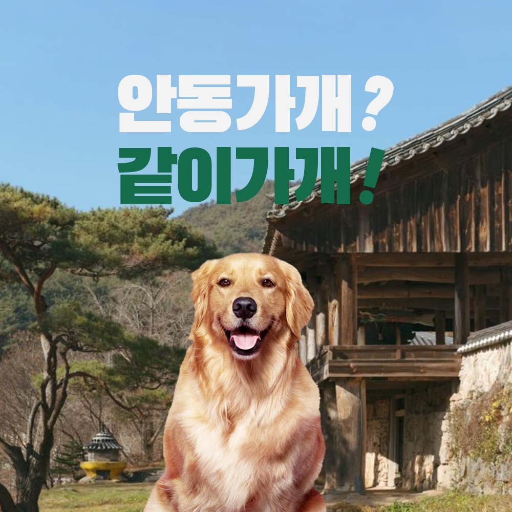 멍편한세상 경상 애견숙소