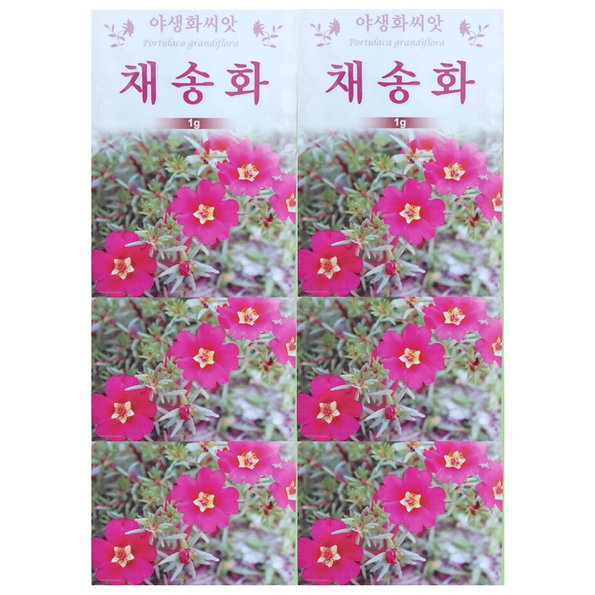 농사농 야생화 꽃씨 종자 채송화 씨앗 1g : 농사농