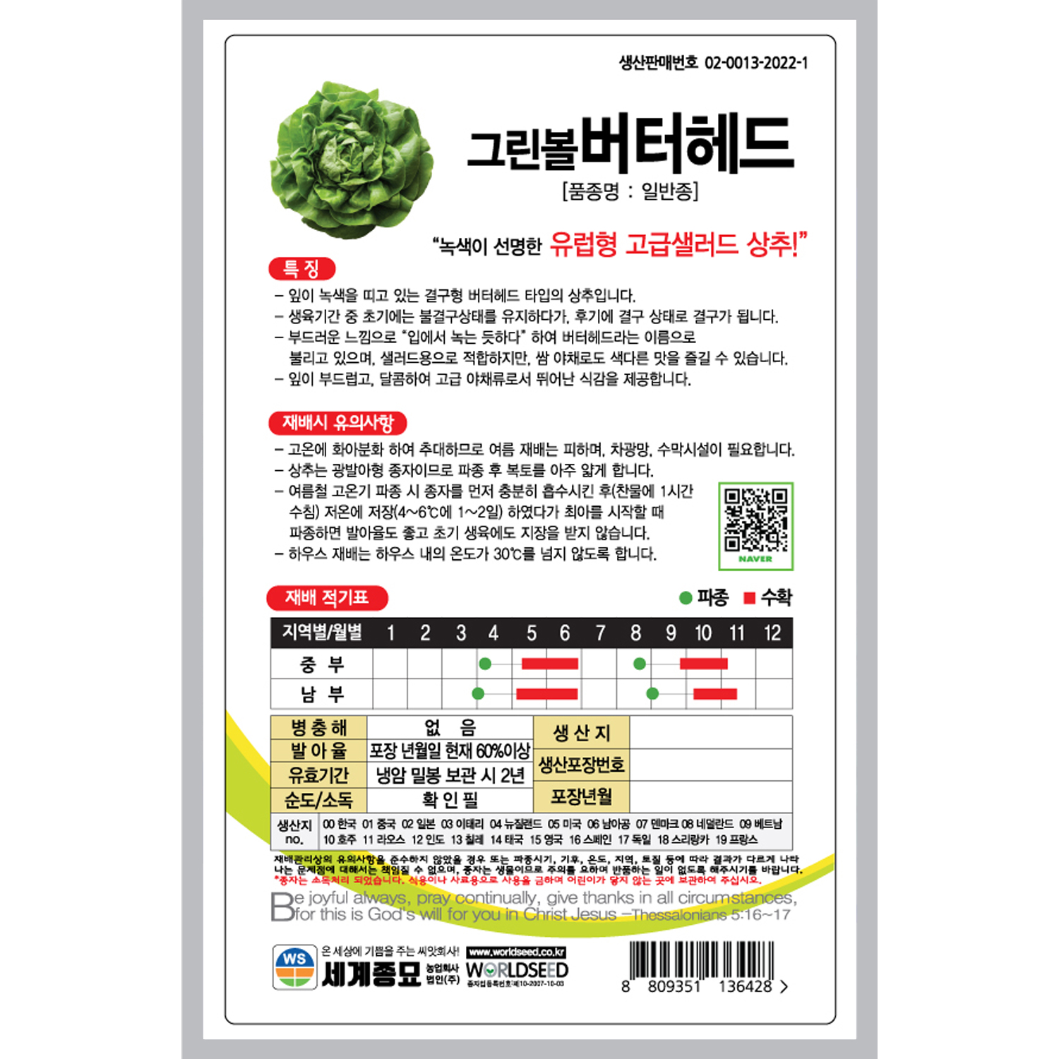 그린볼버터헤드 1000립 / 상추 씨앗 종자 쌈채소 텃밭키우기 채소키우기 : 초록스타