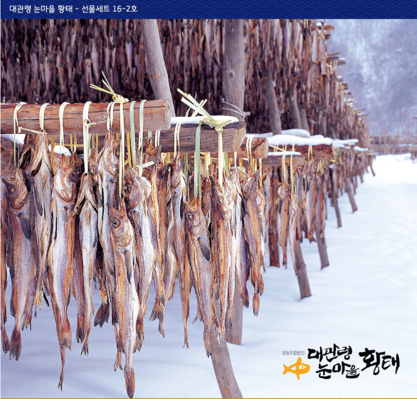 대관령 눈마을 황태 덕장 해장황태 황태포 마른황태 선물세트 : 꽁 지 마 켓