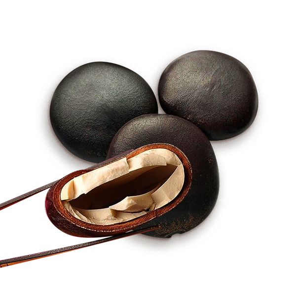 글로벌다잇소 약초 음양자 500g,1000g : 글로벌다잇소