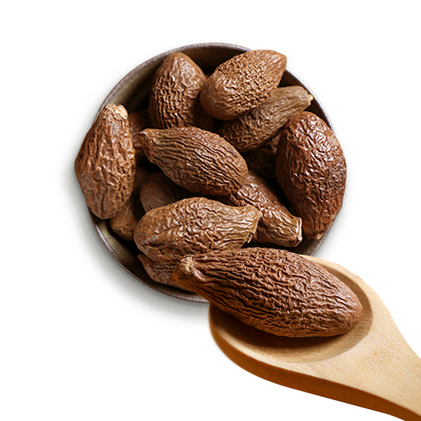 글로벌다잇소 약초 반대해 건재 500g,1000g : 글로벌다잇소