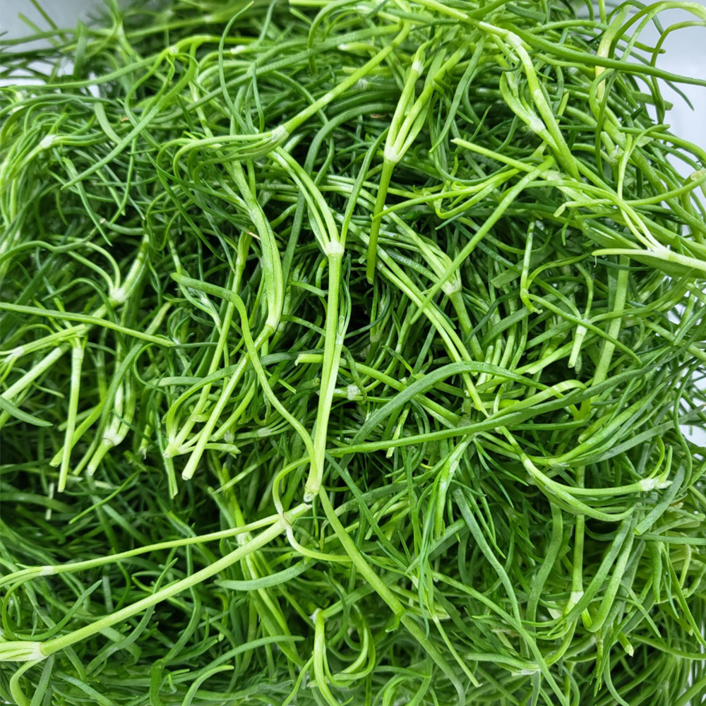 [부천시 일부지역 배달] 맛좋은 신선 세발나물 400g [중동 풍년상회] : 동네시장 장보기